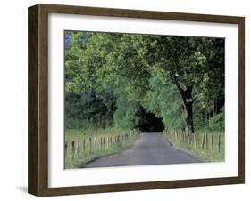 Loop Road in Cades Cove, Great Smoky Mountains National Park, Tennessee, USA-Adam Jones-Framed Photographic Print