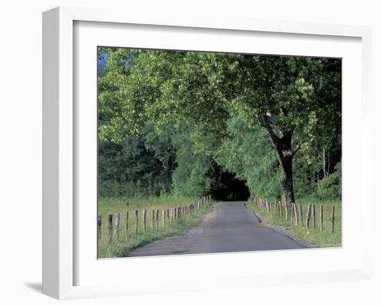 Loop Road in Cades Cove, Great Smoky Mountains National Park, Tennessee, USA-Adam Jones-Framed Photographic Print