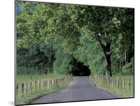 Loop Road in Cades Cove, Great Smoky Mountains National Park, Tennessee, USA-Adam Jones-Mounted Photographic Print
