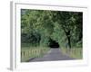 Loop Road in Cades Cove, Great Smoky Mountains National Park, Tennessee, USA-Adam Jones-Framed Photographic Print