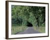 Loop Road in Cades Cove, Great Smoky Mountains National Park, Tennessee, USA-Adam Jones-Framed Photographic Print