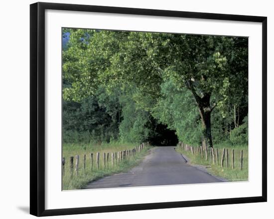 Loop Road in Cades Cove, Great Smoky Mountains National Park, Tennessee, USA-Adam Jones-Framed Photographic Print