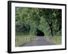 Loop Road in Cades Cove, Great Smoky Mountains National Park, Tennessee, USA-Adam Jones-Framed Photographic Print