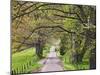 Loop Road in Cades Cove, Great Smoky Mountains National Park, Tennessee, USA-Adam Jones-Mounted Photographic Print