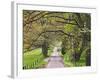 Loop Road in Cades Cove, Great Smoky Mountains National Park, Tennessee, USA-Adam Jones-Framed Photographic Print