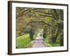 Loop Road in Cades Cove, Great Smoky Mountains National Park, Tennessee, USA-Adam Jones-Framed Photographic Print