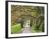 Loop Road in Cades Cove, Great Smoky Mountains National Park, Tennessee, USA-Adam Jones-Framed Photographic Print