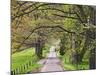 Loop Road in Cades Cove, Great Smoky Mountains National Park, Tennessee, USA-Adam Jones-Mounted Photographic Print