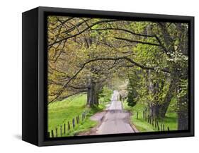 Loop Road in Cades Cove, Great Smoky Mountains National Park, Tennessee, USA-Adam Jones-Framed Stretched Canvas