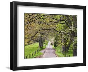 Loop Road in Cades Cove, Great Smoky Mountains National Park, Tennessee, USA-Adam Jones-Framed Photographic Print