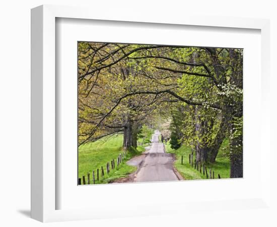 Loop Road in Cades Cove, Great Smoky Mountains National Park, Tennessee, USA-Adam Jones-Framed Photographic Print