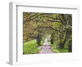 Loop Road in Cades Cove, Great Smoky Mountains National Park, Tennessee, USA-Adam Jones-Framed Photographic Print