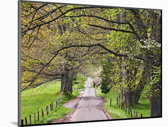 Loop Road in Cades Cove, Great Smoky Mountains National Park, Tennessee, USA-Adam Jones-Mounted Photographic Print