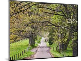 Loop Road in Cades Cove, Great Smoky Mountains National Park, Tennessee, USA-Adam Jones-Mounted Photographic Print