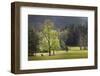 Loop road through Cades Cove passing beneath trees in spring foliage, Great Smoky Mountains NP, TN-Adam Jones-Framed Photographic Print