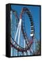 Loop Section of a Rollercoaster Ride-Kaj Svensson-Framed Stretched Canvas