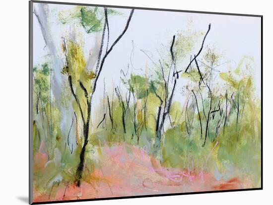 Loop Trail Through Swamp Oak Woodland-Ann Gordon-Mounted Art Print