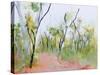 Loop Trail Through Swamp Oak Woodland-Ann Gordon-Stretched Canvas