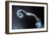 Looping-Ionut Harag-Framed Photographic Print