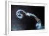 Looping-Ionut Harag-Framed Photographic Print