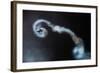 Looping-Ionut Harag-Framed Photographic Print