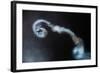 Looping-Ionut Harag-Framed Photographic Print