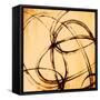 Loopy III-Sloane Addison  -Framed Stretched Canvas