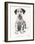 Loopy the Ugly Puppy-Cecil Aldin-Framed Photographic Print