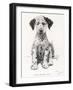 Loopy the Ugly Puppy-Cecil Aldin-Framed Photographic Print