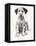 Loopy the Ugly Puppy-Cecil Aldin-Framed Stretched Canvas