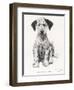 Loopy the Ugly Puppy-Cecil Aldin-Framed Photographic Print