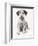 Loopy the Ugly Puppy-Cecil Aldin-Framed Photographic Print