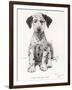 Loopy the Ugly Puppy-Cecil Aldin-Framed Photographic Print