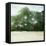 Loose Landscape II-Grace Popp-Framed Stretched Canvas