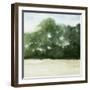 Loose Landscape II-Grace Popp-Framed Art Print