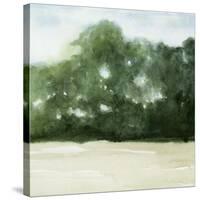 Loose Landscape II-Grace Popp-Stretched Canvas