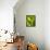 Loose-Leaf Lettuce-Dirk Olaf Wexel-Framed Stretched Canvas displayed on a wall