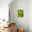 Loose-Leaf Lettuce-Dirk Olaf Wexel-Mounted Photographic Print displayed on a wall