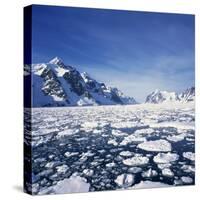 Loose Pack Ice in the Sea, with the Antarctic Peninsula in the Background, Antarctica-Geoff Renner-Stretched Canvas