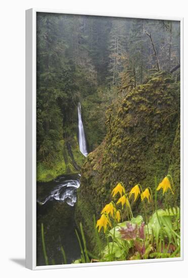 Loowit Falls in Forest Scenery, Columbia Gorge, Oregon, USA-Gary Luhm-Framed Photographic Print