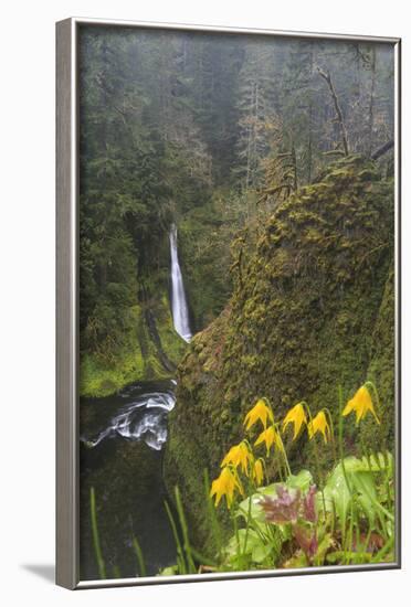 Loowit Falls in Forest Scenery, Columbia Gorge, Oregon, USA-Gary Luhm-Framed Photographic Print