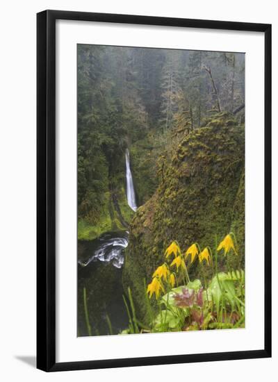 Loowit Falls in Forest Scenery, Columbia Gorge, Oregon, USA-Gary Luhm-Framed Photographic Print