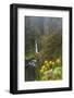 Loowit Falls in Forest Scenery, Columbia Gorge, Oregon, USA-Gary Luhm-Framed Photographic Print