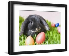 Lop-eared Easter bunny-Ada Summer-Framed Photographic Print