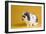 Lop Rabbit-Lynn M^ Stone-Framed Photographic Print