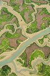 Aerial View of Marshes with Seaweed Exposed at Low Tide, Bahía De Cádiz Np, Andalusia, Spain-López-Photographic Print