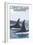 Lopez Island, WA - Orca Fins-Lantern Press-Framed Art Print