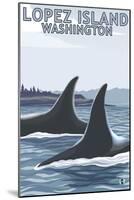 Lopez Island, WA - Orca Fins-Lantern Press-Mounted Art Print