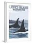 Lopez Island, WA - Orca Fins-Lantern Press-Framed Art Print