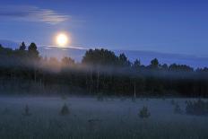 Lunar Halo a Forest with Light Mist, Kemeri National Park, Latvia, June 2009-López-Photographic Print